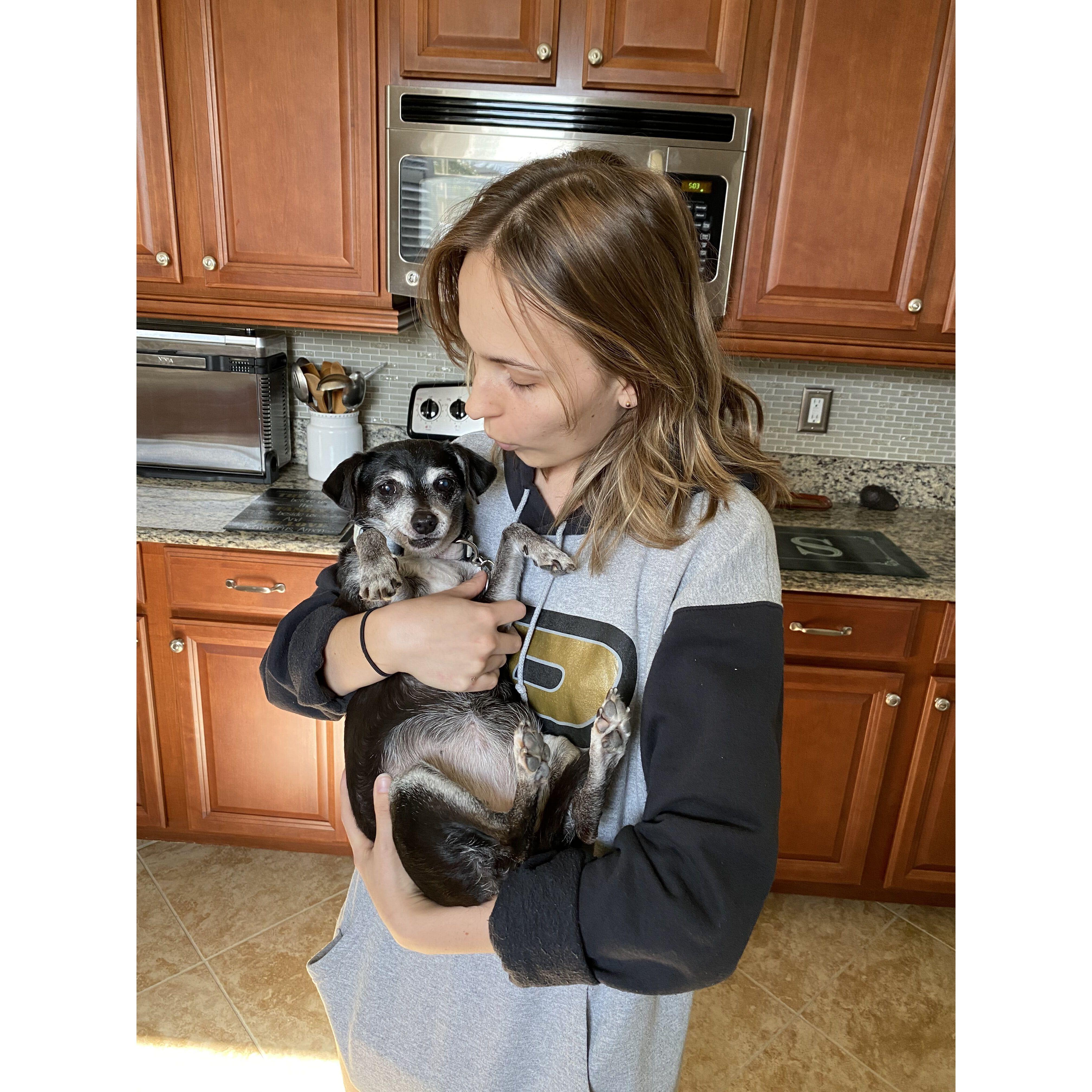 Minnie, a cat disguised as a dog