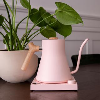 Stagg EKG Electric Kettle