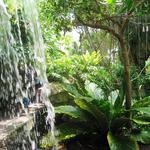 Cleveland Botanical Gardens