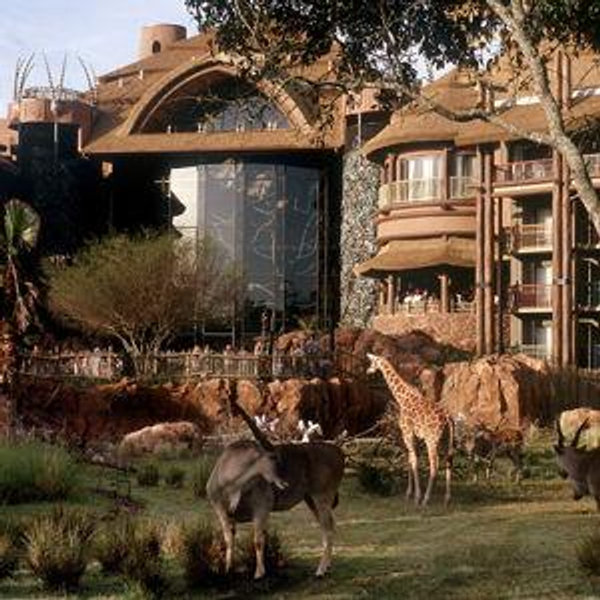 Upgraded One Night Stay at Disney’s Animal Kingdom Lodge