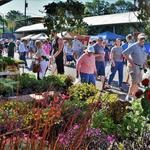 Holland Farmers Market