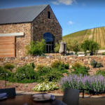 Wine Tasting in Paso Robles