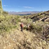 Arizona National Parks