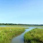 Frank Knowles/Little River Reserve