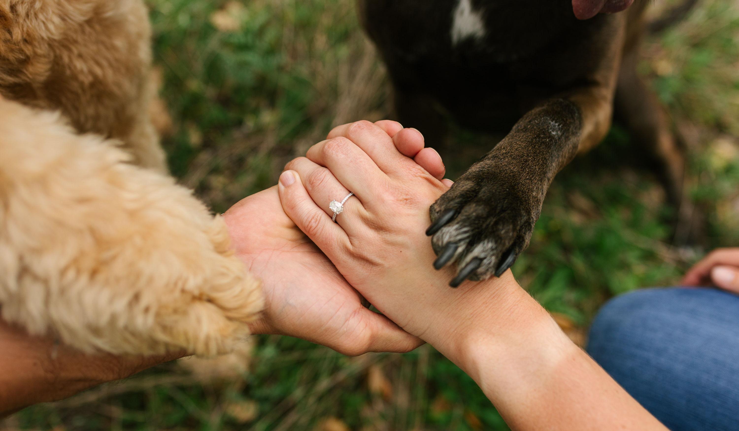 Hero Slideshow Image 1