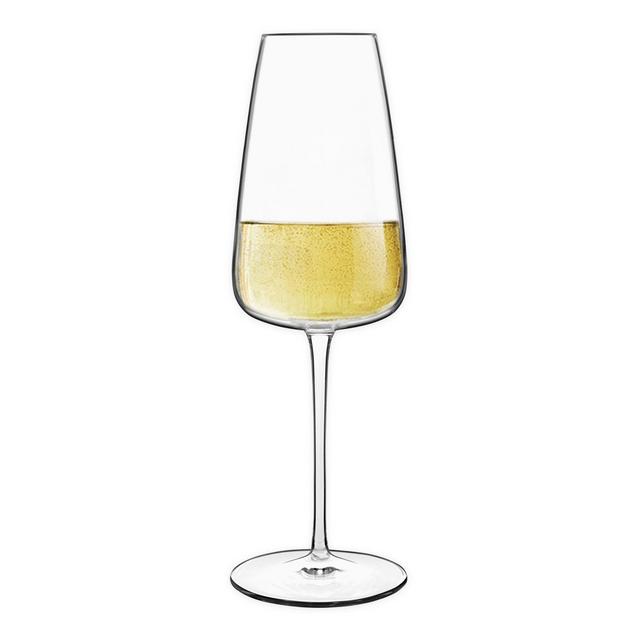 Luigi Bormioli Talismano Prosecco Glasses (Set of 4)