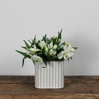 Caro Small Ribbed Vase, Set of 2