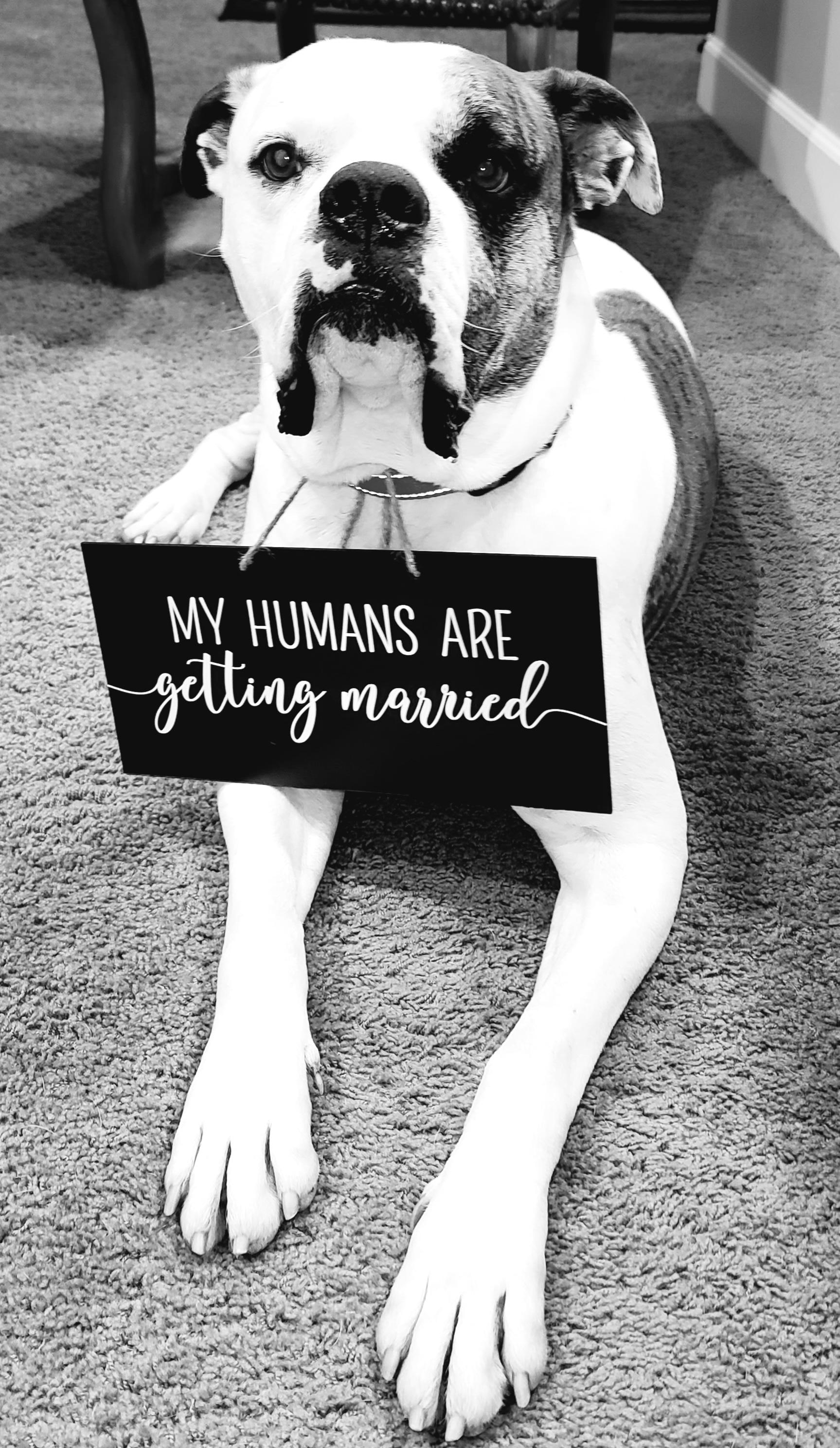 The Wedding Website of Kelsey Coleman and James Kallof