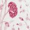 Peony