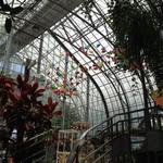 Krohn Conservatory