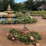 Harry P Leu Gardens