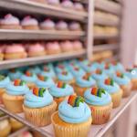 Georgetown Cupcake