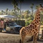 San Diego Zoo Safari Park