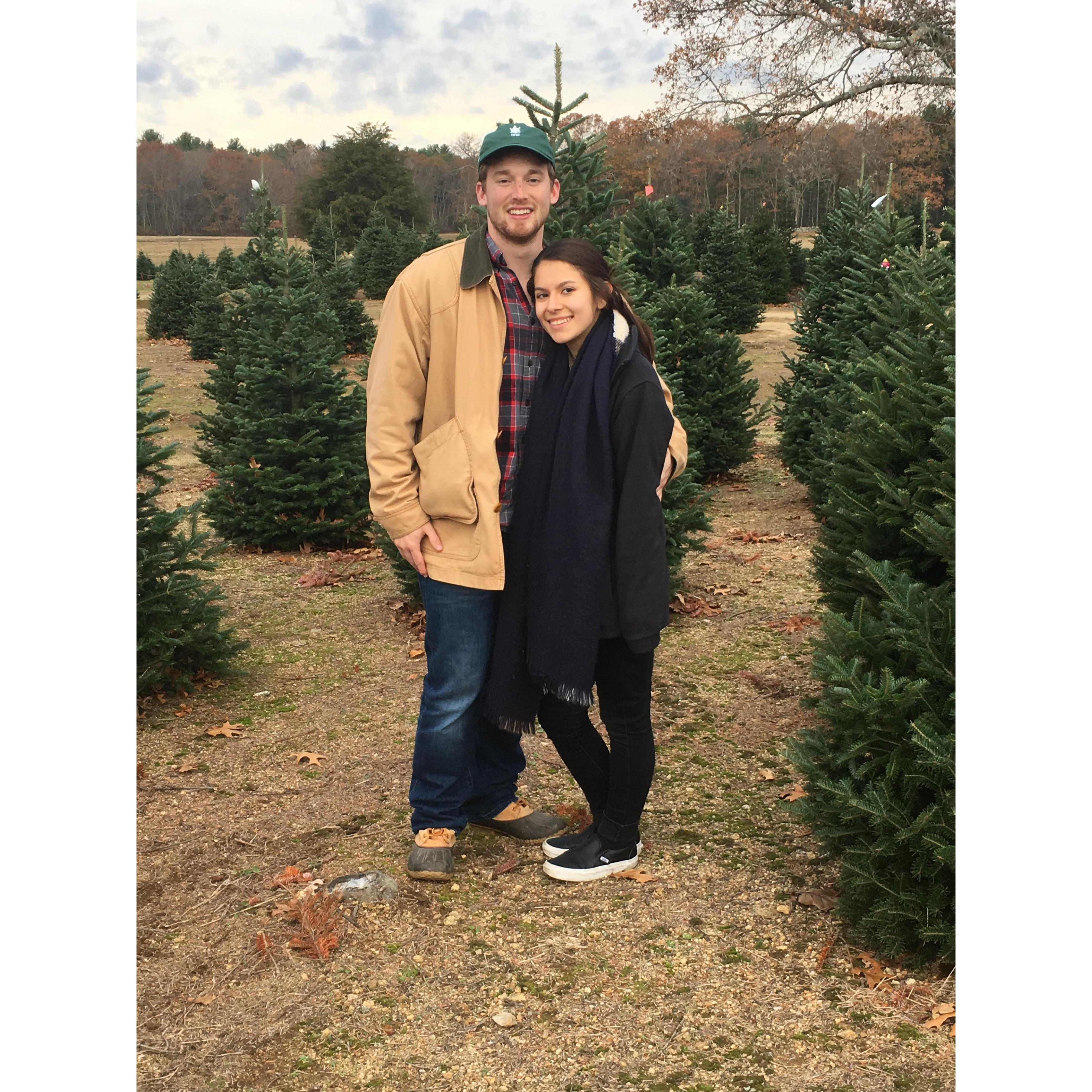 12/2017