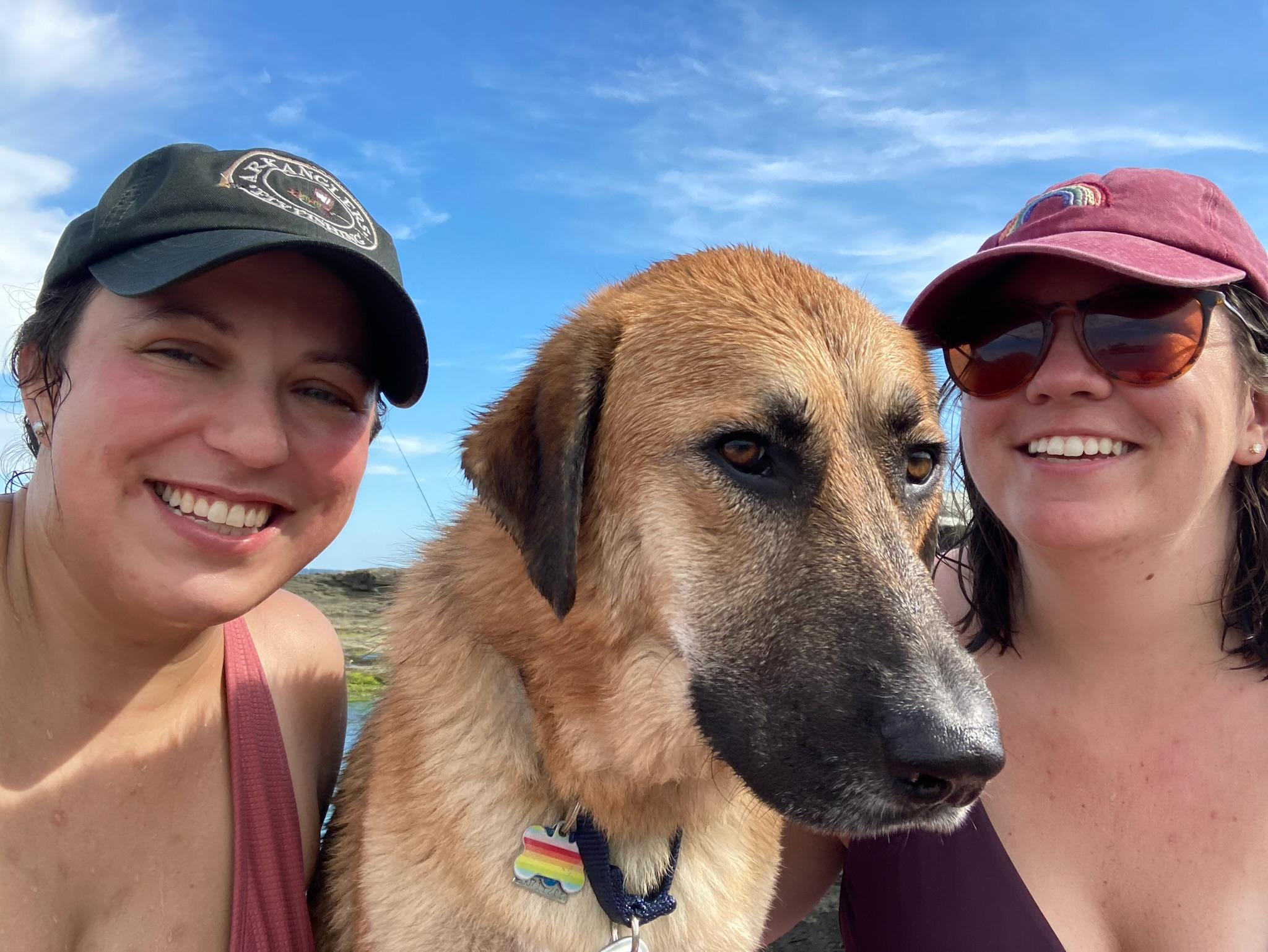 339b6fc0-68ed-495f-a828-7397cbadd35a