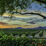 Edna Valley, California