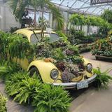 Groovy Plants Ranch