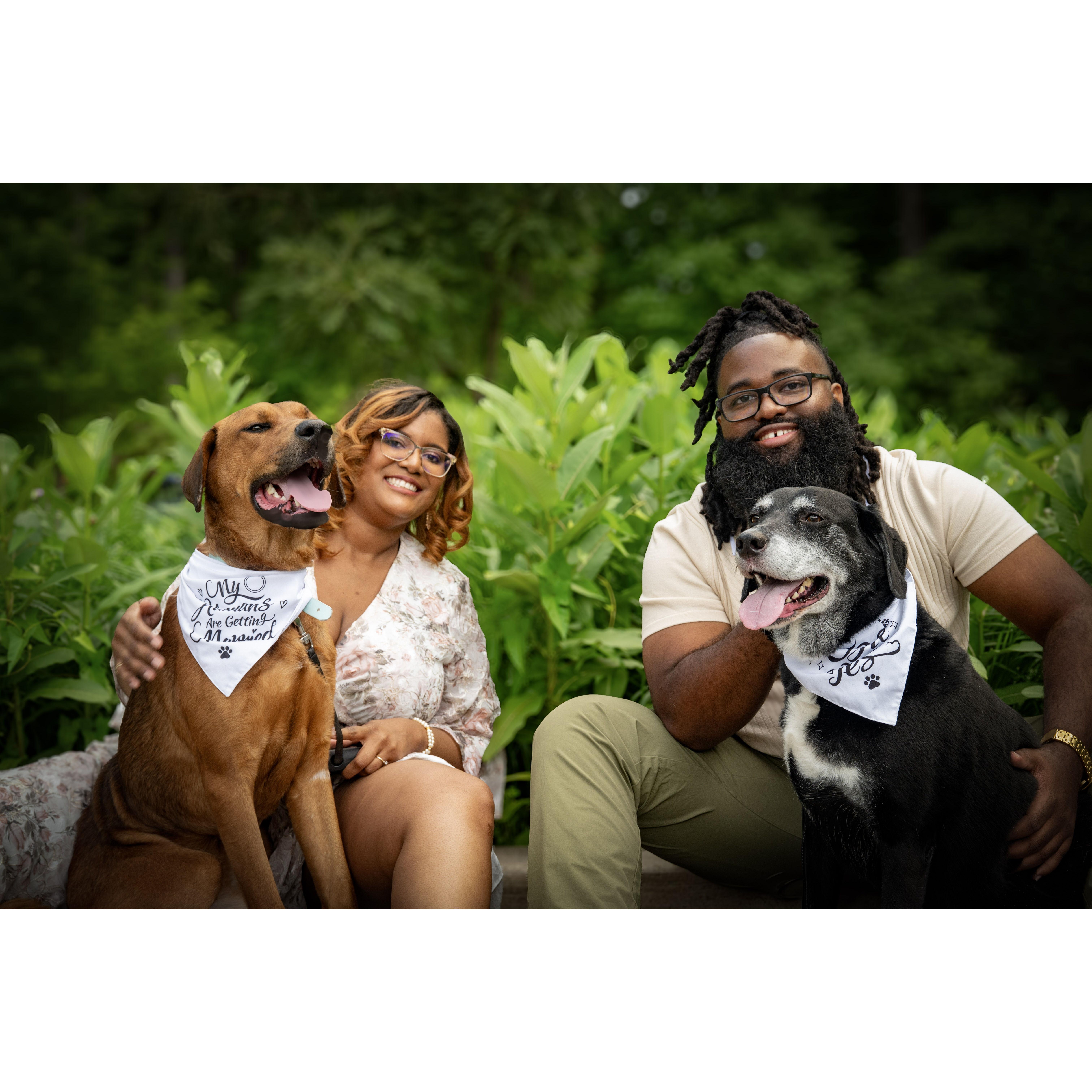 Jin702 Photography - Engagement Shoot at Brookside Gardens - Wheaton, MD (05/23/25)