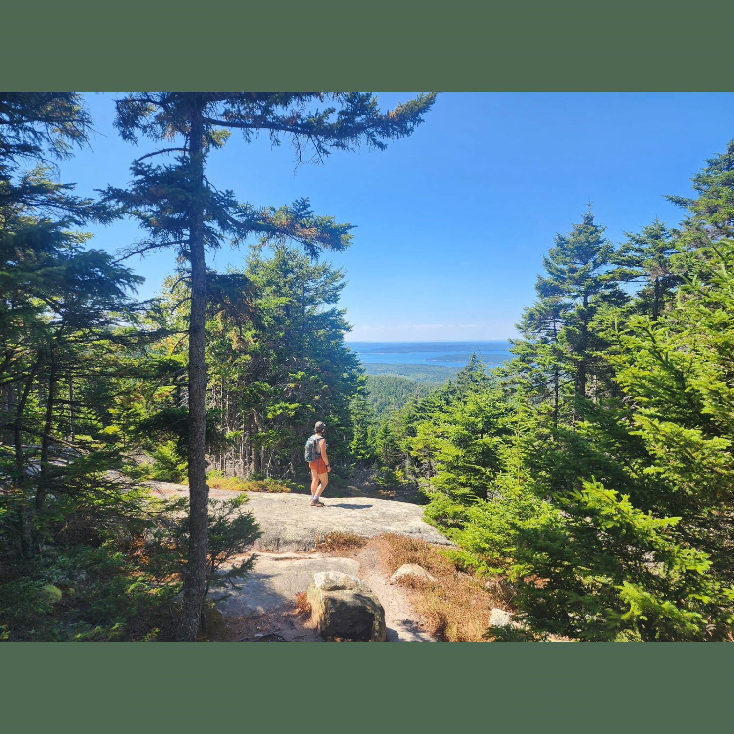 Stunning views like these seem to always be just around the corner in Acadia.