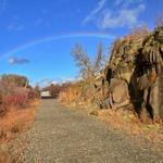 Hike Cowiche Canyon Trail