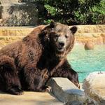 Great Plains Zoo
