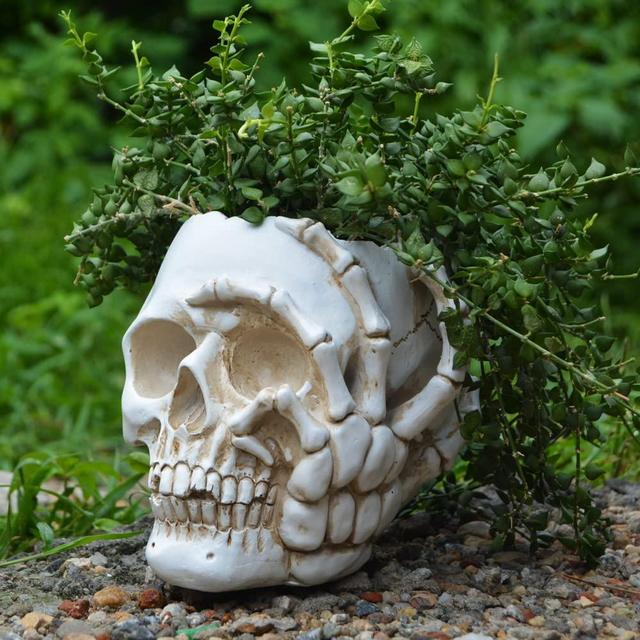JYTTI Skull Planter Pot, Skulls Flower Pot, Unique Plant Pots Indoor, Succulent Flower Pots, Skeleton Plant Pot with Drainage, Skull Vase, Cute Planters, Pen Holder for Halloween Decorations (White)