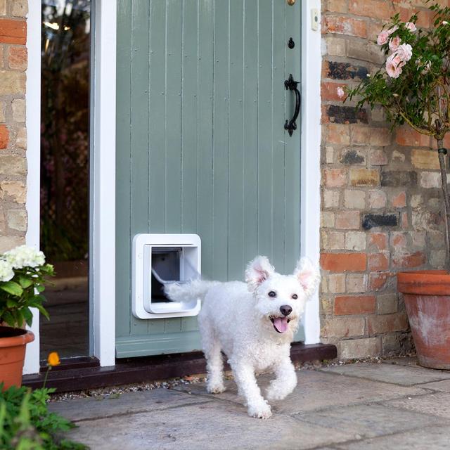 Benny and Cozmo Dog Door - Only Cozmo Gets Out