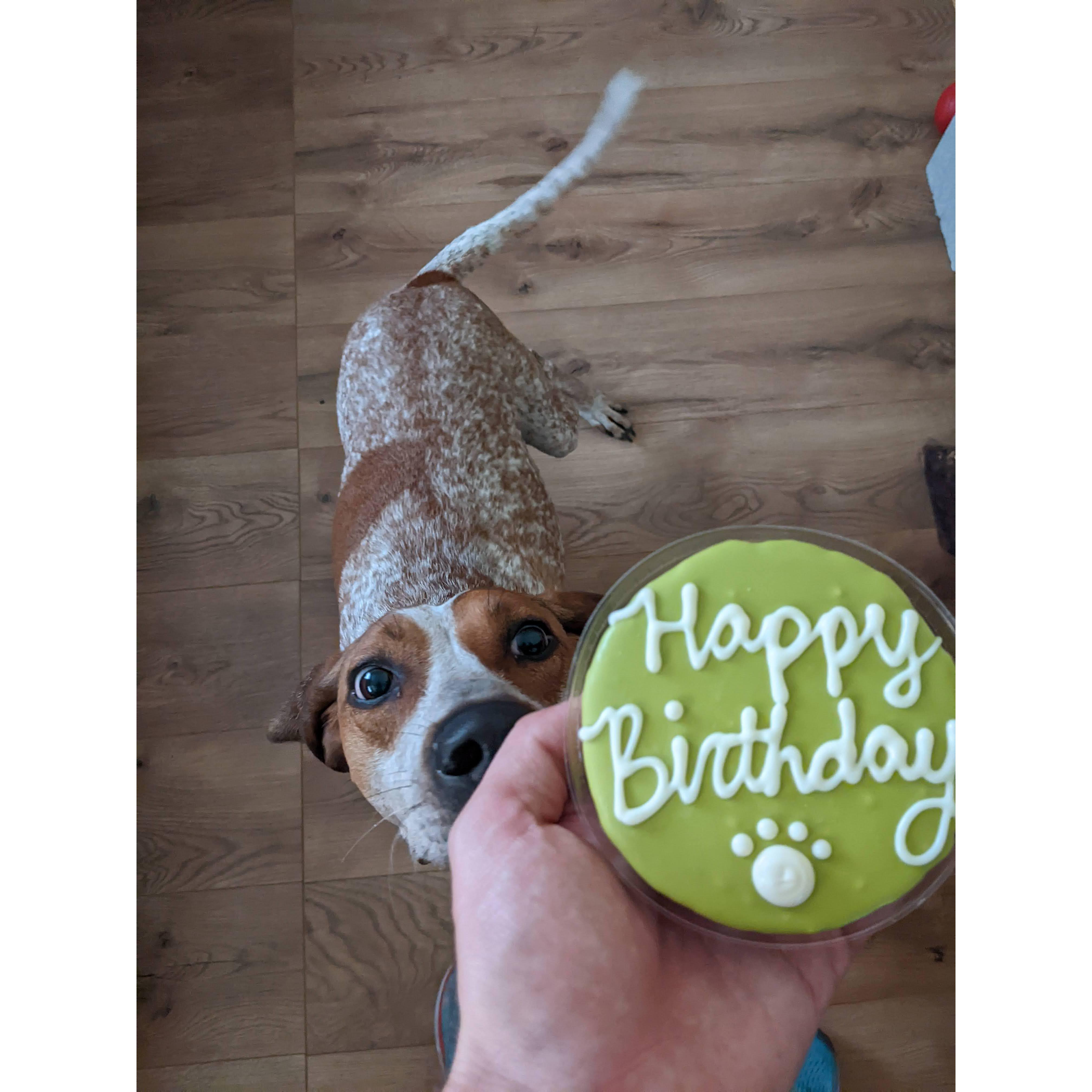 Molly's 4th Birthday!
