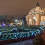 City Park