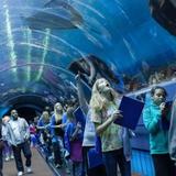Georgia Aquarium