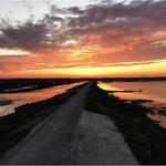 Edwin B Forsythe National Wildlife Refuge