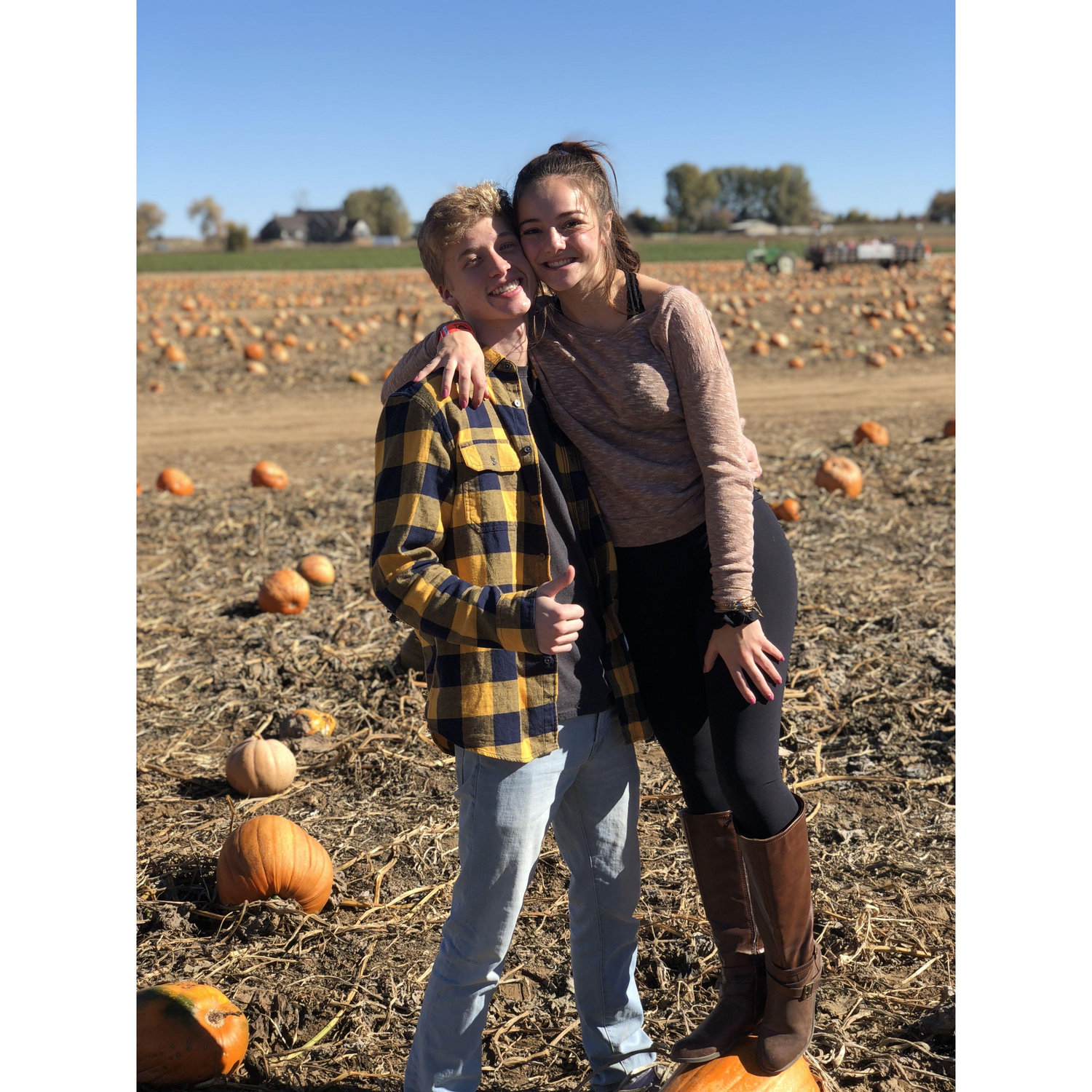 2018 pumpkin patch