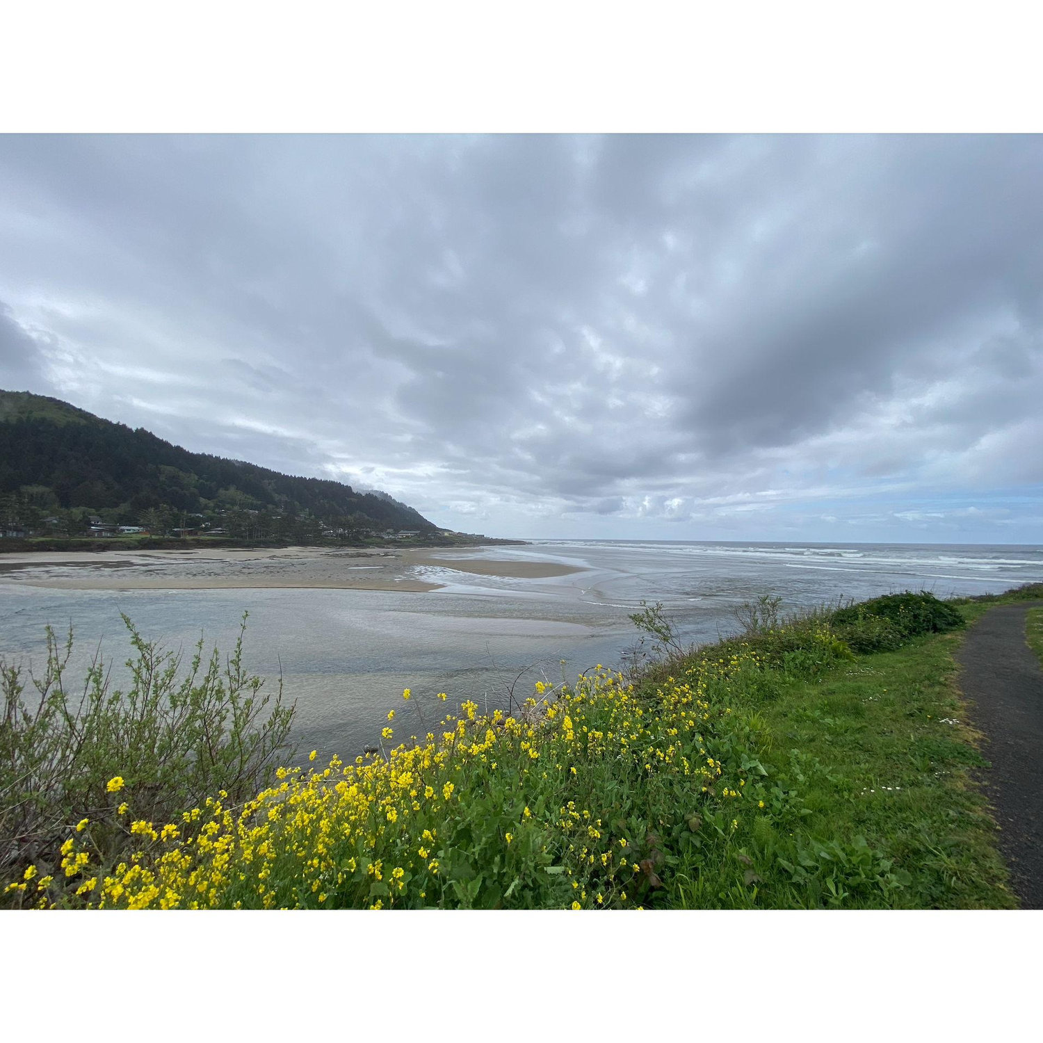 The view just around the corner from Yachats State Park.