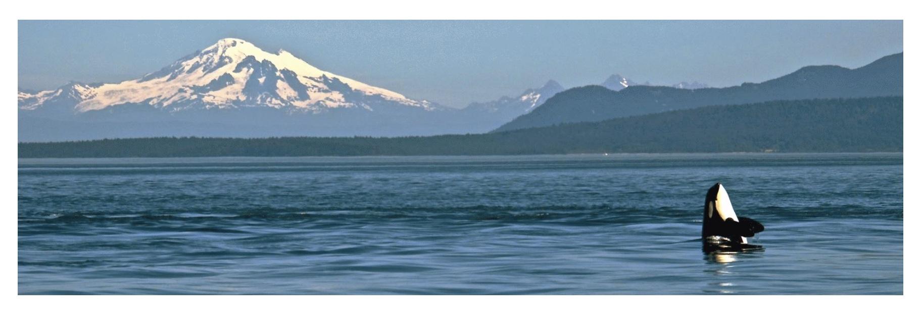 The Wedding Website of Jared Thompson and Sarah Stepleman