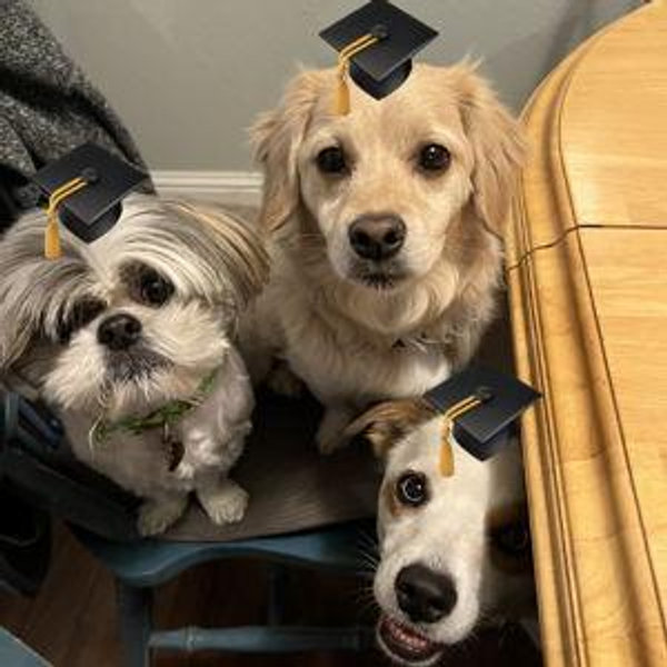 Pet "College Fund"