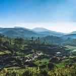 Ooty