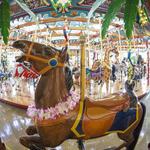 Silver Beach Carousel