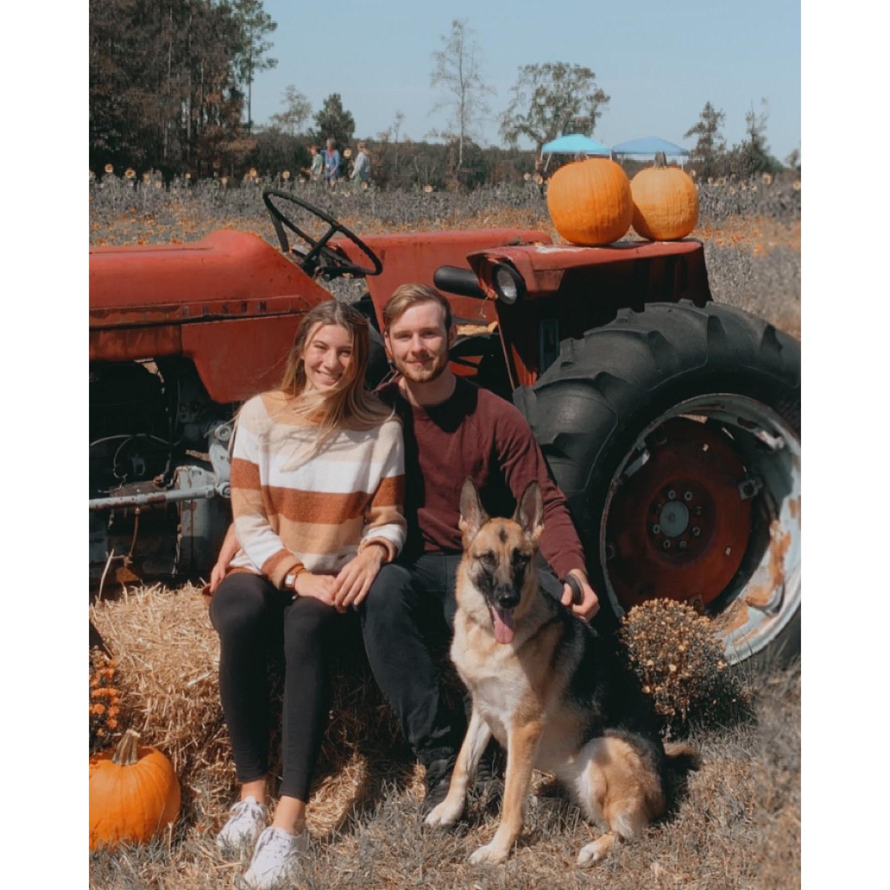 Pumpkin Patch Date