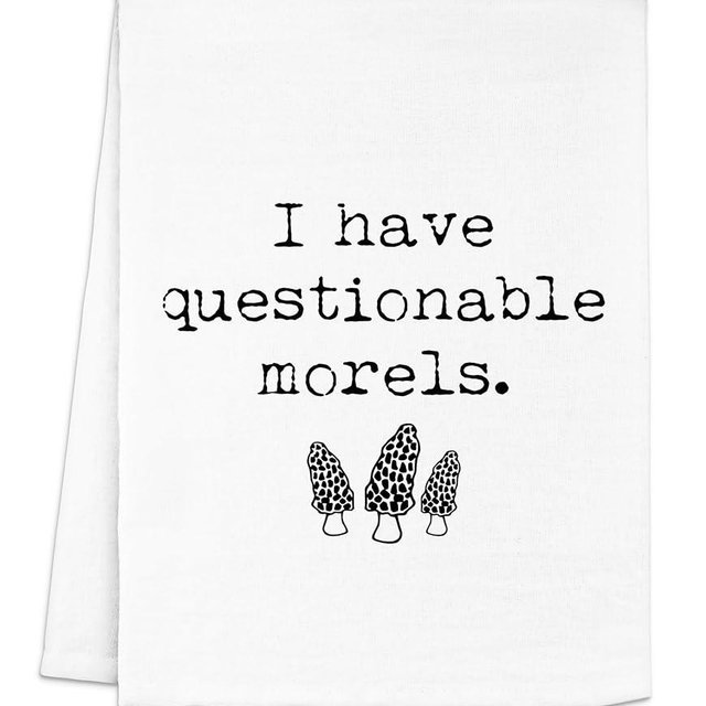 Moonlight Makers I Have Questionable Morels Dish Towel, Funny Kitchen Towels, Cute Wash Cloths, Cotton Dish Towels for Kitchen Drying, New Home & Apartment Essentials, White Dish Towel