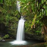 El Yunque National Forest