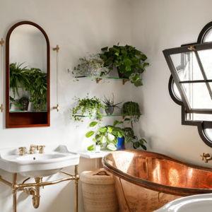 Bathroom Fund