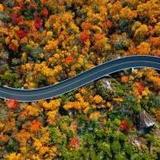 The Blue Ridge Parkway