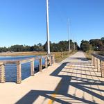 Spanish Moss Trail