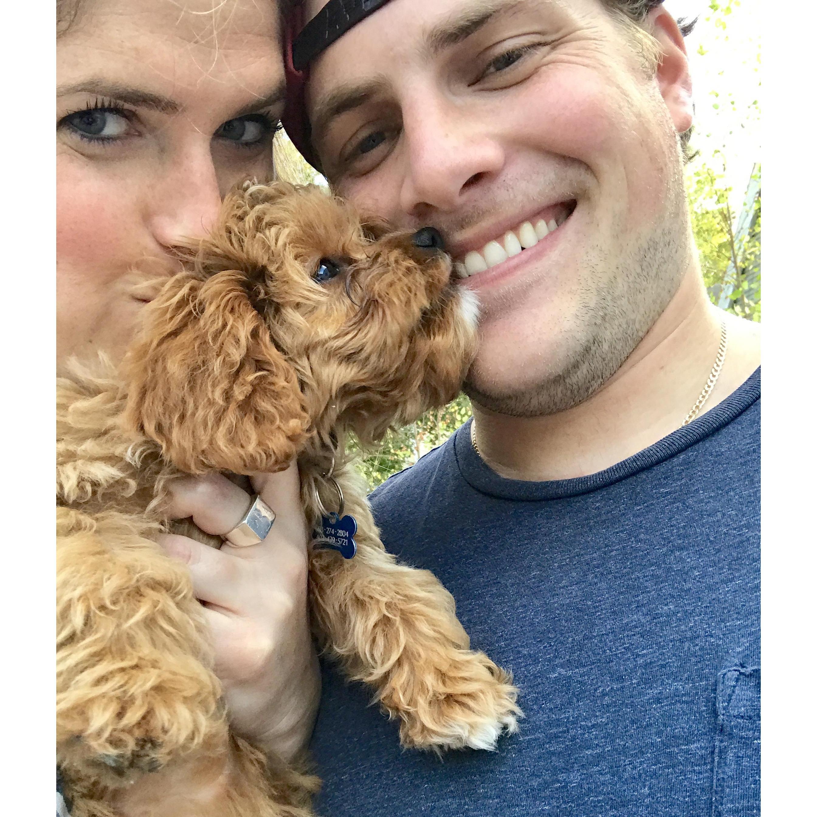 Wishing we had a pup