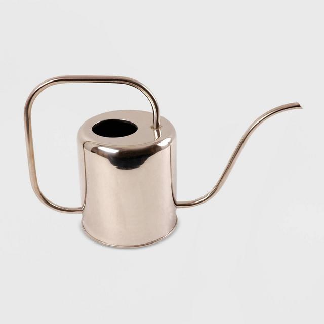 10" Modern Style Steel Watering Can Chrome - Esschert Design
