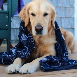 Drytek High Performance Pet Towel