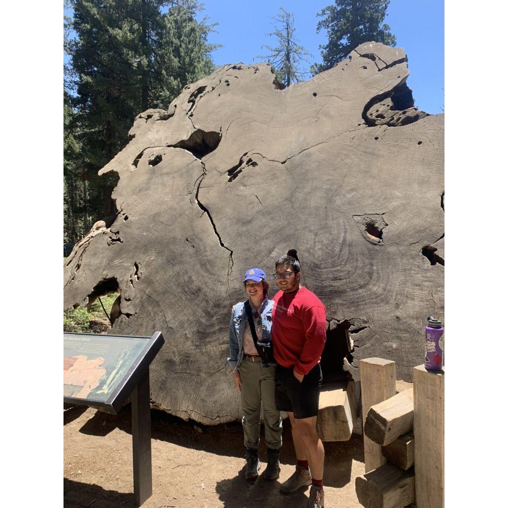 Sequoia Park, CA, 2022.