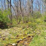 Governor Dodge State Park