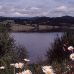 Henry Hagg Lake Park