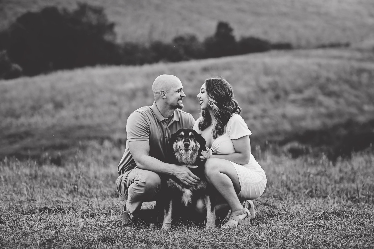 The Wedding Website of Chris Ware and Pete Stanakis